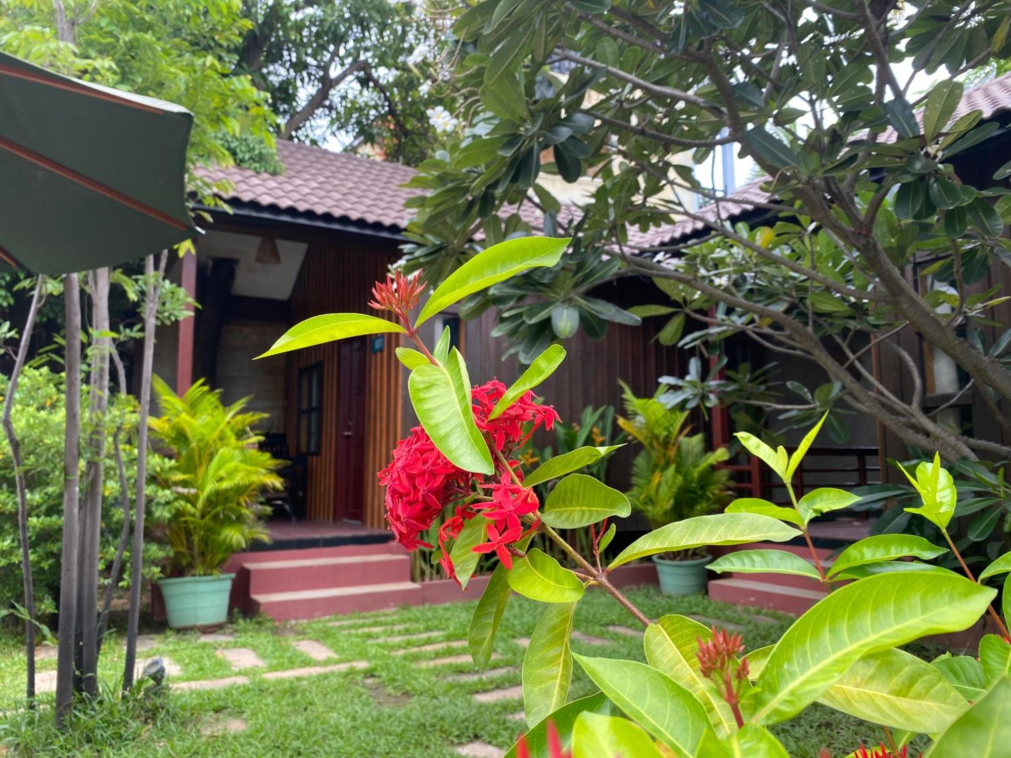 Habana Angkor Boutique Hotel Sziemreap Kültér fotó